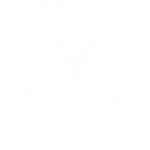 logo beyaz aykut 2
